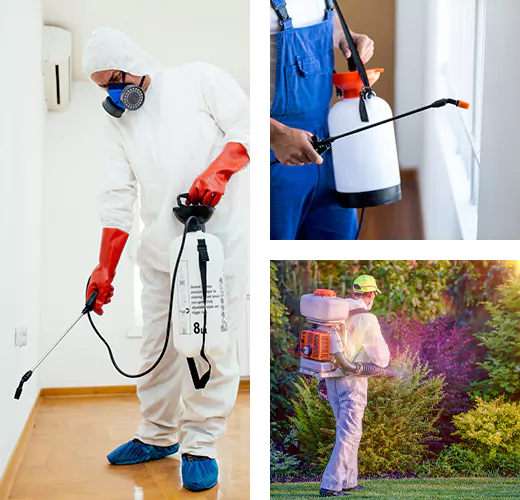 pest control near me  in Temescal Valley