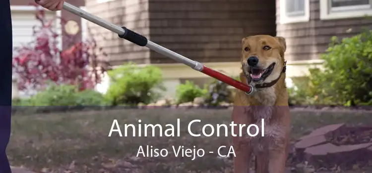 Animal Control Aliso Viejo - CA