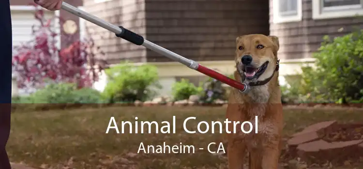 Animal Control Anaheim - CA