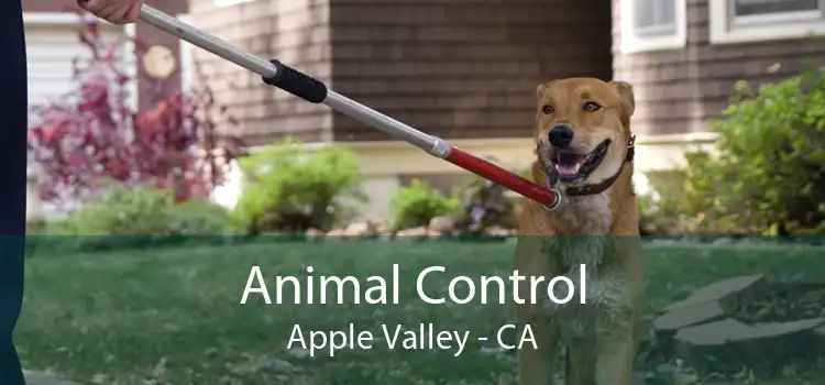 Animal Control Apple Valley - CA
