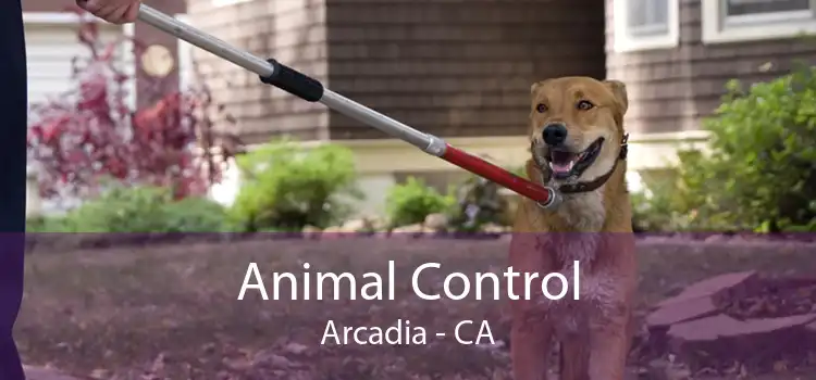 Animal Control Arcadia - CA