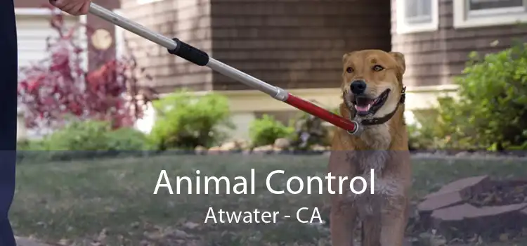 Animal Control Atwater - CA