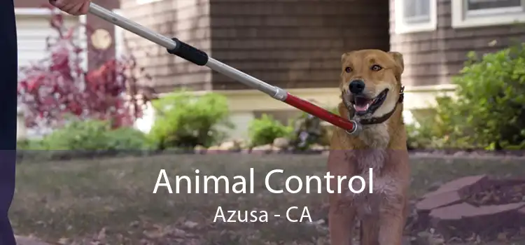 Animal Control Azusa - CA