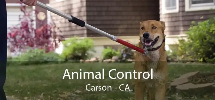 Animal Control Carson - CA