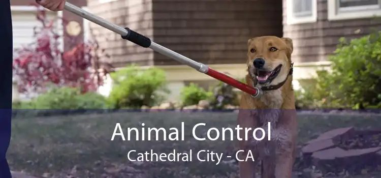Animal Control Cathedral City - CA