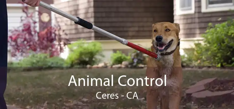 Animal Control Ceres - CA