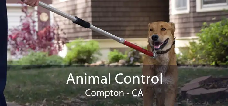 Animal Control Compton - CA