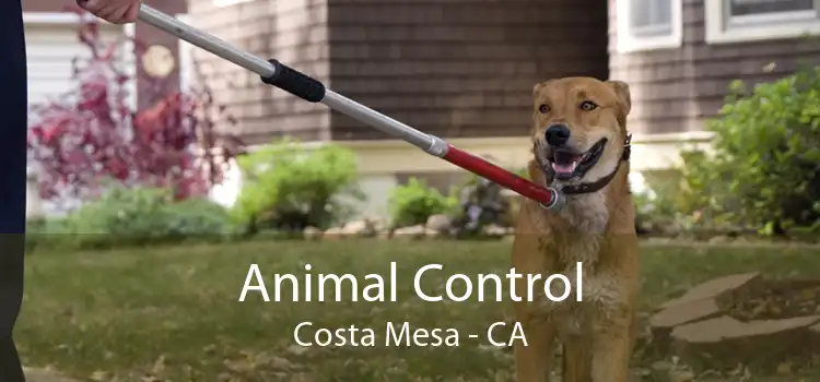 Animal Control Costa Mesa - CA