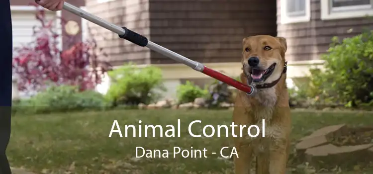 Animal Control Dana Point - CA