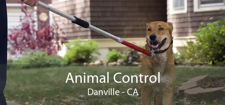 Animal Control Danville - CA