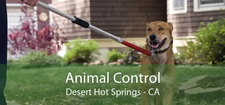 Animal Control Desert Hot Springs - CA