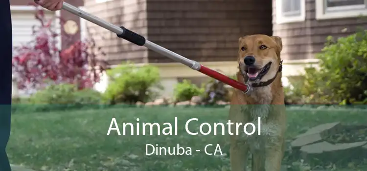 Animal Control Dinuba - CA