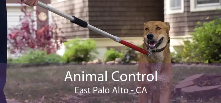 Animal Control East Palo Alto - CA