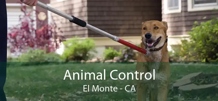 Animal Control El Monte - CA