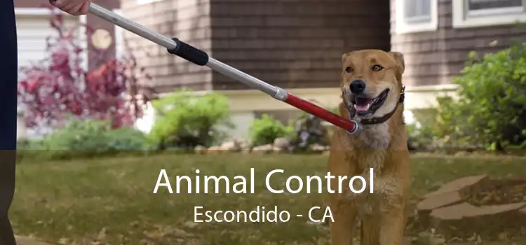 Animal Control Escondido - CA