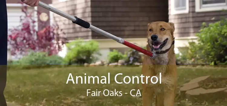 Animal Control Fair Oaks - CA