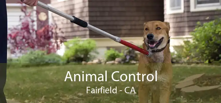 Animal Control Fairfield - CA