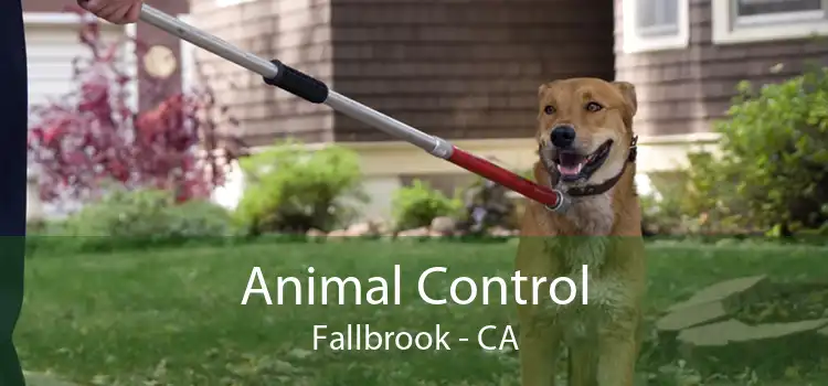 Animal Control Fallbrook - CA