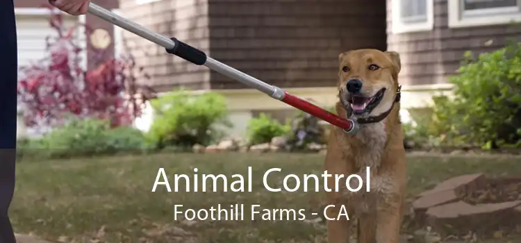 Animal Control Foothill Farms - CA