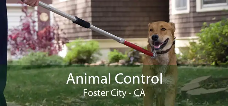 Animal Control Foster City - CA