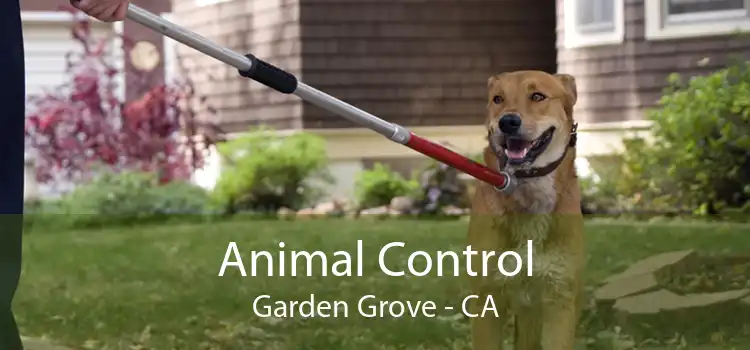 Animal Control Garden Grove - CA