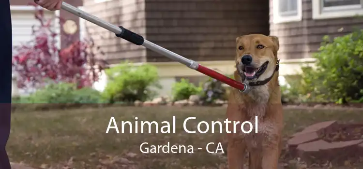 Animal Control Gardena - CA