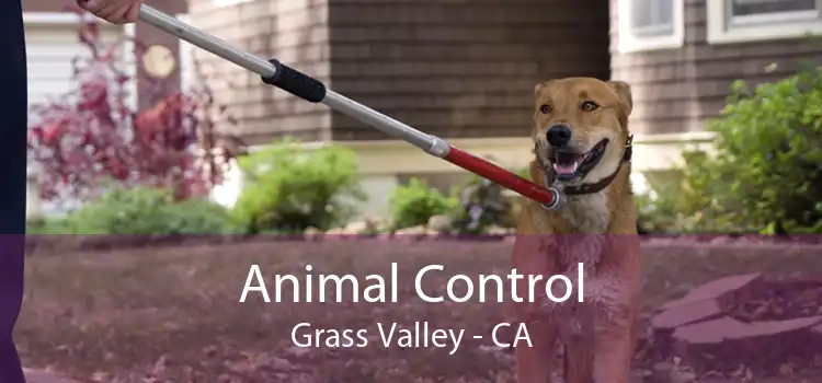 Animal Control Grass Valley - CA