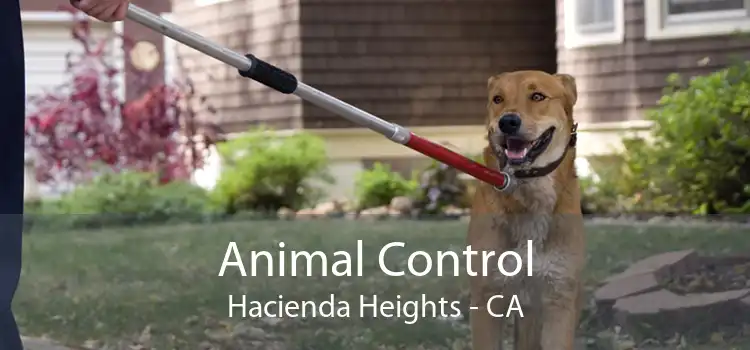 Animal Control Hacienda Heights - CA