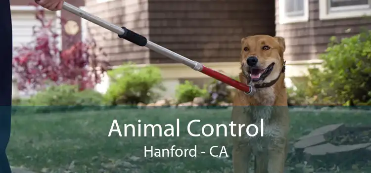 Animal Control Hanford - CA