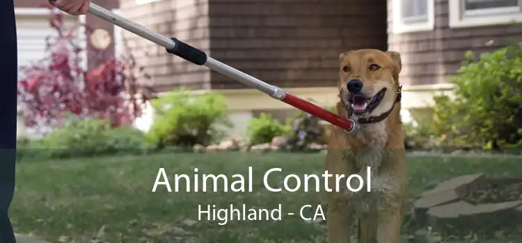 Animal Control Highland - CA