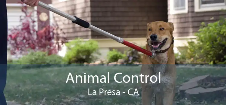Animal Control La Presa - CA