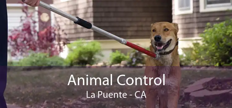 Animal Control La Puente - CA