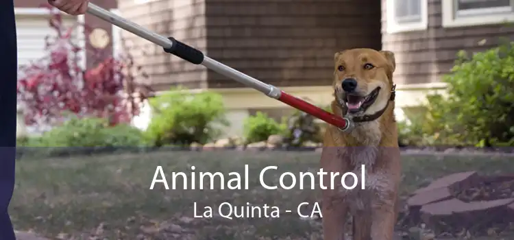 Animal Control La Quinta - CA