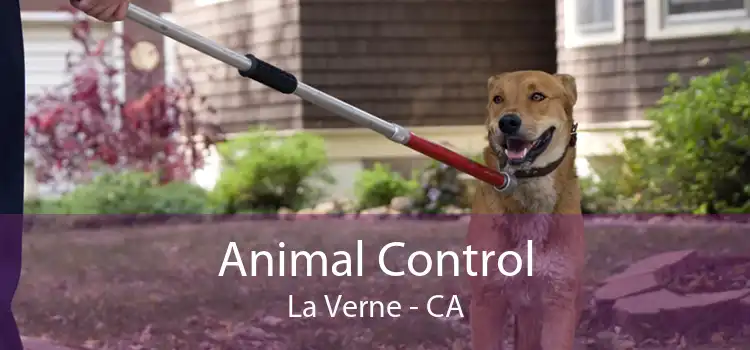 Animal Control La Verne - CA