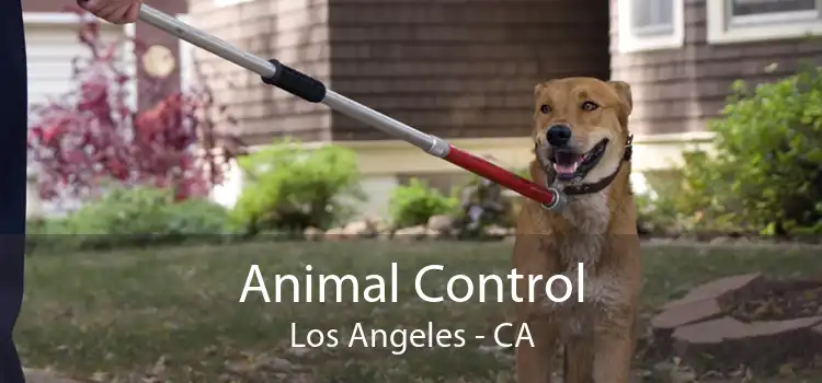 Animal Control Los Angeles - CA