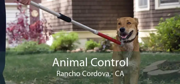 Animal Control Rancho Cordova - CA