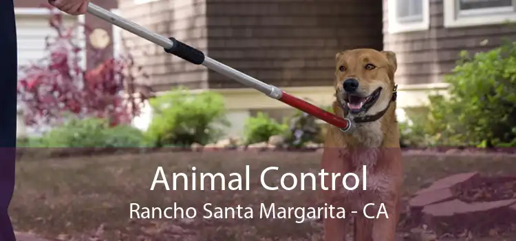 Animal Control Rancho Santa Margarita - CA