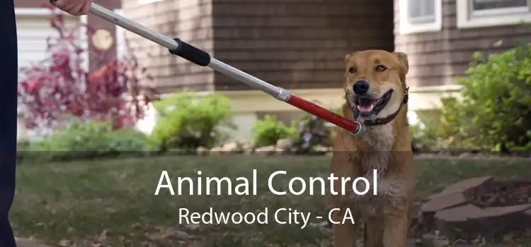 Animal Control Redwood City - CA
