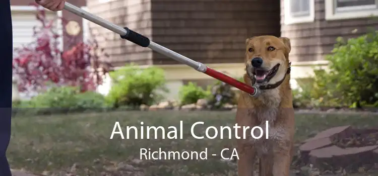 Animal Control Richmond - CA