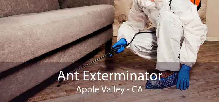 Ant Exterminator Apple Valley - CA