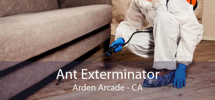 Ant Exterminator Arden Arcade - CA
