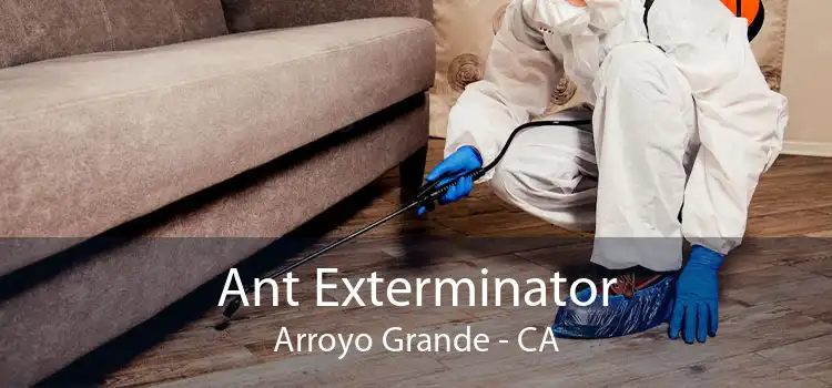 Ant Exterminator Arroyo Grande - CA