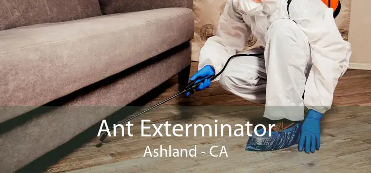 Ant Exterminator Ashland - CA