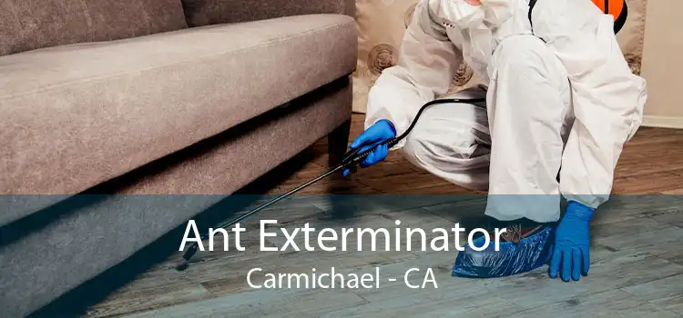 Ant Exterminator Carmichael - CA