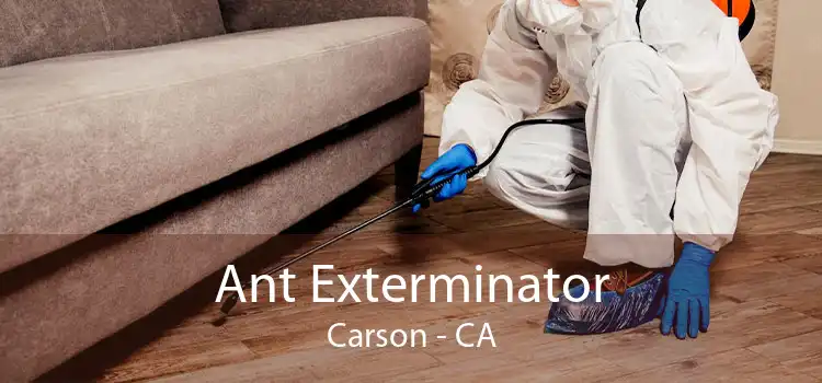 Ant Exterminator Carson - CA