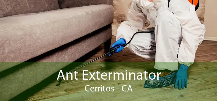 Ant Exterminator Cerritos - CA