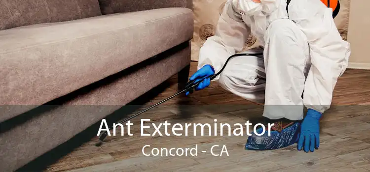 Ant Exterminator Concord - CA