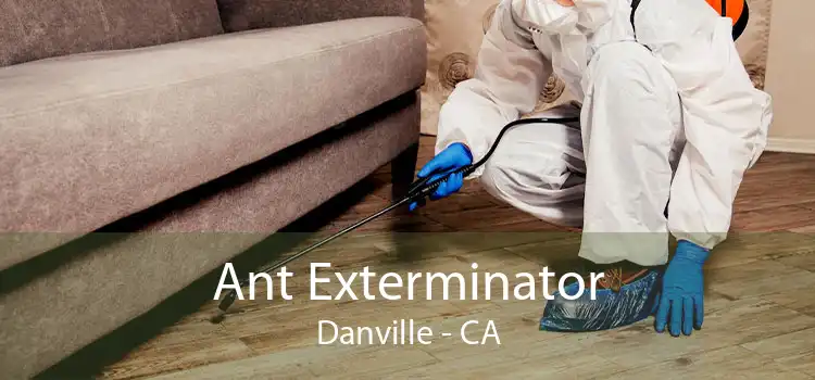 Ant Exterminator Danville - CA