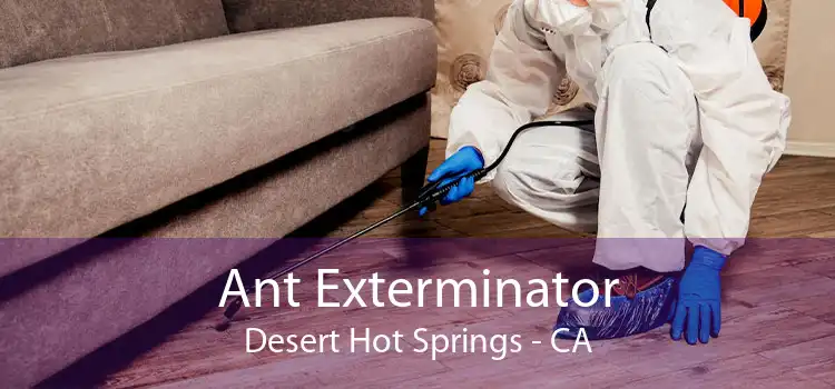 Ant Exterminator Desert Hot Springs - CA