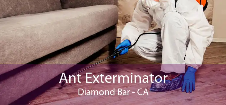 Ant Exterminator Diamond Bar - CA
